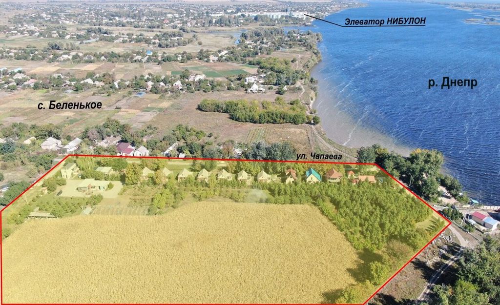 База відпочинку у с. Біленьке. Ліс