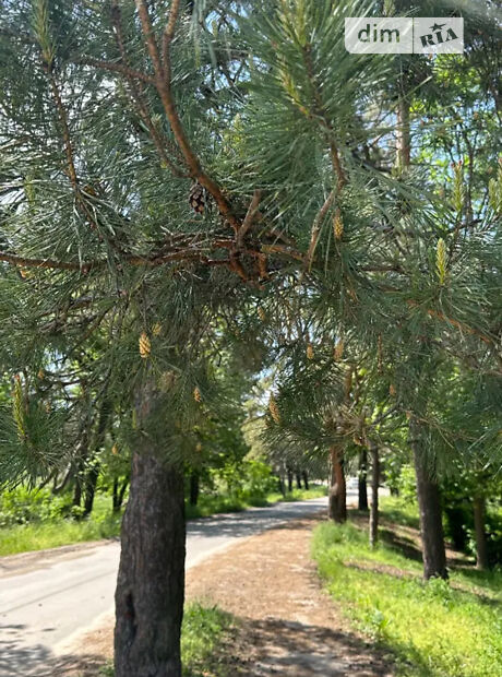 Будинок, 90 м², вул. Бориспільська(Шереметьєвська)